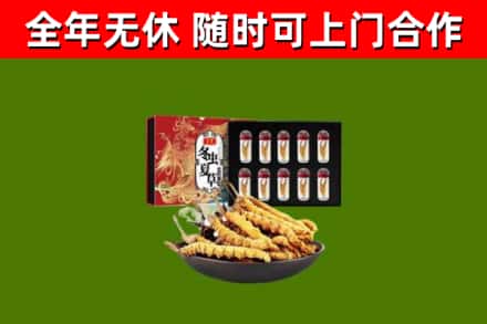 莒县回收冬虫夏草价格